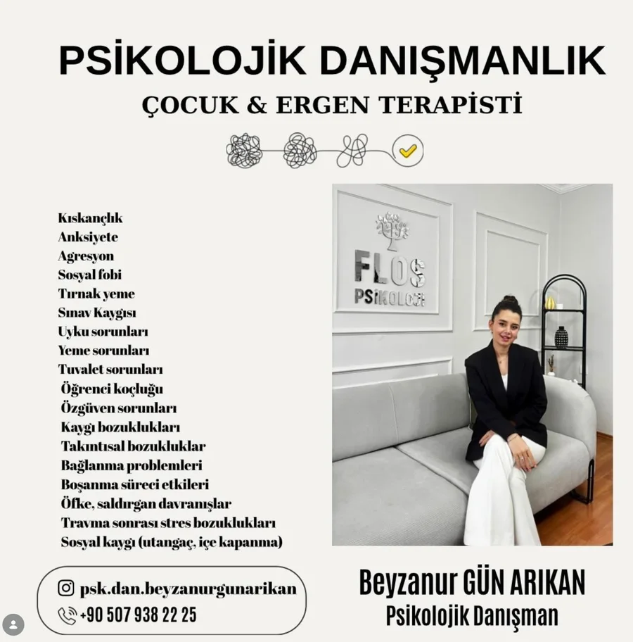 Psikolojik danışmanlık: çalıştığım konular